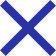 X Close Window