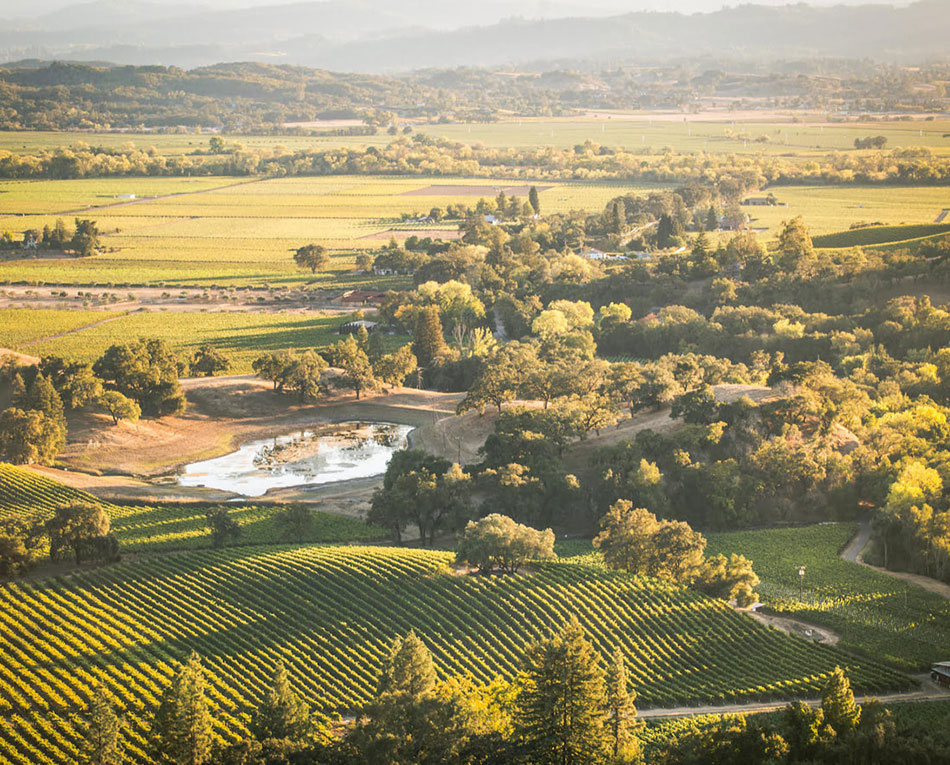 scenic valley with a combination of forest and farm land