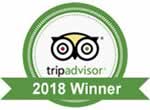 Trip Advisor Logo