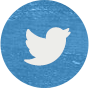 Logo - Twitter