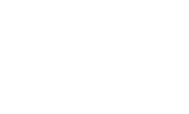 SelectRegistry logo