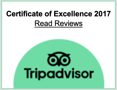 TRIP ADVISOR.png